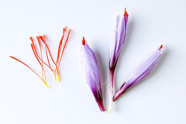 Saffron and the nervous system